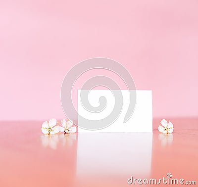 Blank horizontal white small card on a pink wall. Stock Photo