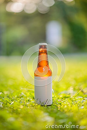 Blank Label Beer Bottle in Grass Stock Photo