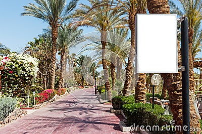 Blank mock billboard on park. alley of palms on clear sky background Stock Photo