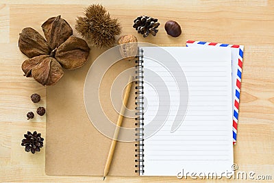 Blank notebook with airmail envelope dried pine cone chestnut wa Stock Photo