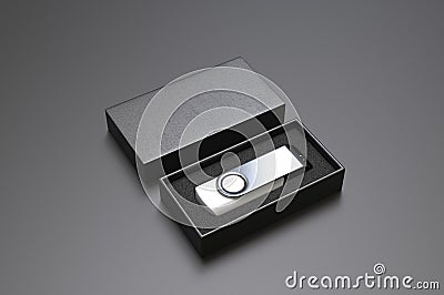 Blank pen drive with paper box packaging for promotional branding. 3d render illustration. Cartoon Illustration