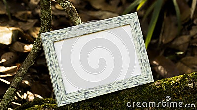 Blank Photo frame over bark in the green forest Stock Photo