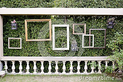 Blank photo frames against green small tree wall and white fence Stock Photo