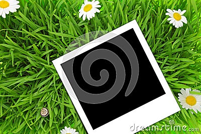 Blank photograph template on green grass Stock Photo