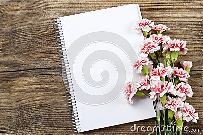 Blank sheet of notebook and red and white carnation Stock Photo