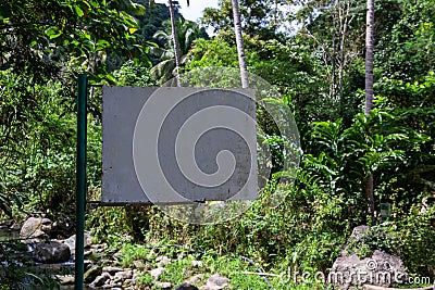 Blank signpost in green forest. Empty sign on metallic pillar in tropical rainforest. Hiking in jungle forest banner template Stock Photo