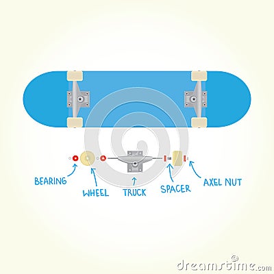 Blank skateboard and parts isolated vector Vector Illustration