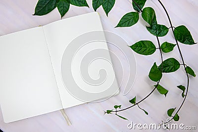 Blank sketch book with white paper and green branch on wooden table. Empty notebook top view. Romantic flat lay Stock Photo