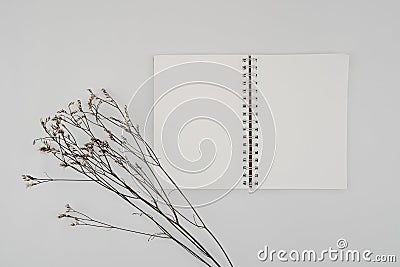 Blank spiral bound sketchbook or journal or diary with Limonium dry flower. Mock-up of stationary. Top view of empty drawing book Stock Photo