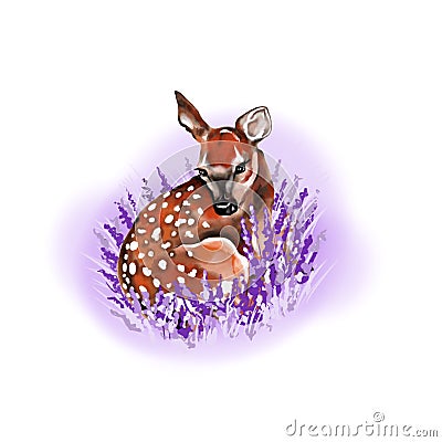 Blank spring/summer postcard. On a white background: baby deer laying on a violet flowers, non decorated, isolated. Bembi watercol Stock Photo