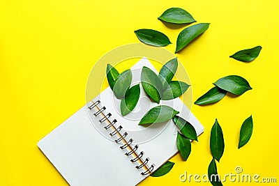 Blank spyral Notepad in the center on yellow background with green leaves of ruskus. Creative mockup Stock Photo