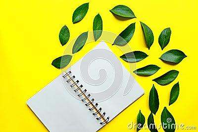 Blank spyral Notepad in the center on yellow background with green leaves of ruskus. Creative mockup Stock Photo