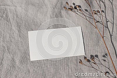 Blank textured business card mockup with dry grass, plant in sunlight. Beige linen background, sunlight, shadow overlay Stock Photo
