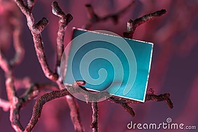 Blank Turquoise Color Business Card on Coral. Empty Space. Copy Space. 3d Rendering Stock Photo