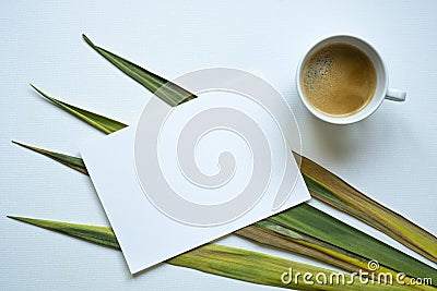 Blank white invitation card, text space, rectangle, coffee cup Stock Photo