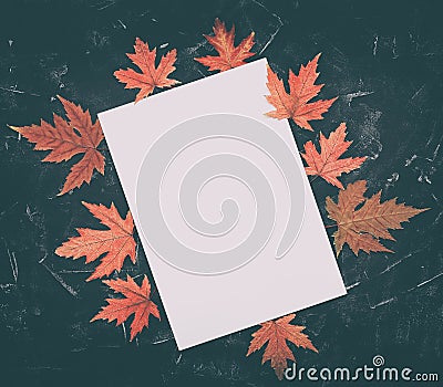 Blank white paper mockup and frame made from red dry maple leaves. Black stone background. Template card. Autumn minimal Stock Photo