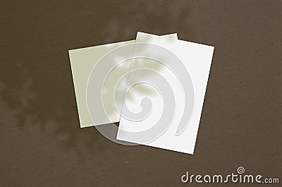 Blank white vertical paper sheet 5x7 inches with tree shadow overlay. Modern and stylish greeting card or wedding invitation mock Stock Photo