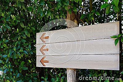 Blank wooden signpost with arrows on tree outdoors Stock Photo