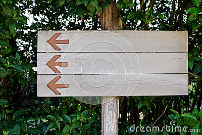 Blank wooden signpost on green tree Stock Photo