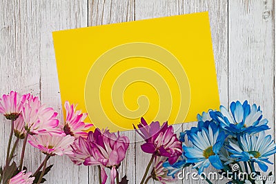 Blank yellow card with blue and pink daisies bunch of flowers Stock Photo