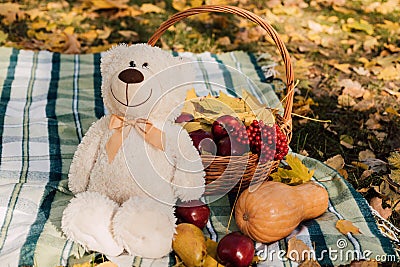 On the blanket in the cage lies a teddy bear and autumn fruits Stock Photo