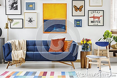Blanket on navy blue settee in modern living room interior with Stock Photo