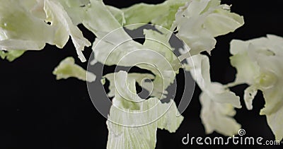 Blasen des kochenden Wassers schaumgummi Siedetemperatur fleischbrühe Freie Suppe suppe stock video Blasen des kochenden Wassers schaumgummi Siedetemperatur fleischbrühe Freie Suppe suppe stock video