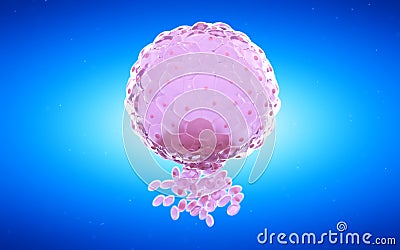 A blastocyst Cartoon Illustration