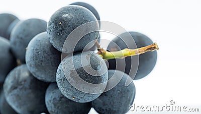 Blaxk Grape Fruits Stock Photo