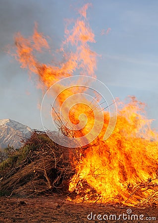 Blaze Stock Photo