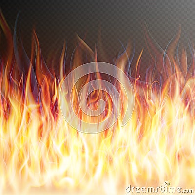 Blaze fire flame. EPS 10 Vector Illustration