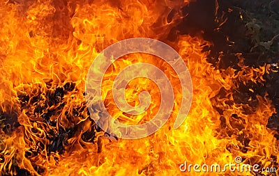 Blaze fire flame texture background Stock Photo