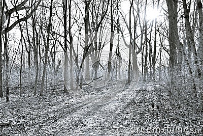 The bleakness of the season Stock Photo