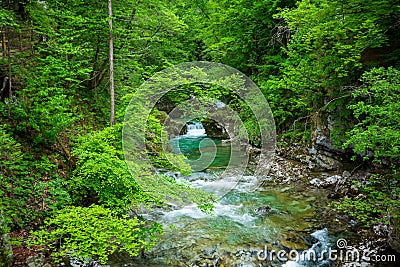 Bled Vintgar gorge Stock Photo