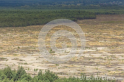 Bledow Desert, an area of sands between Bledow and the village of Chechlo and Klucze in Poland. Stock Photo