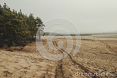 Bledow desert pustynia bledowska biggest sand desert in Poland Stock Photo