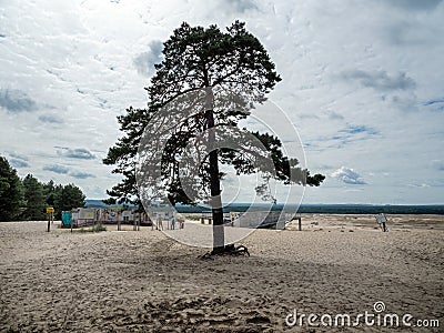 Bledowska desert, viewpoint in Dobrowka, Chechlo, Poland Editorial Stock Photo