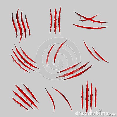 Bleeding scratches monster animal claws torn material blood set isolated design vector illustration Vector Illustration