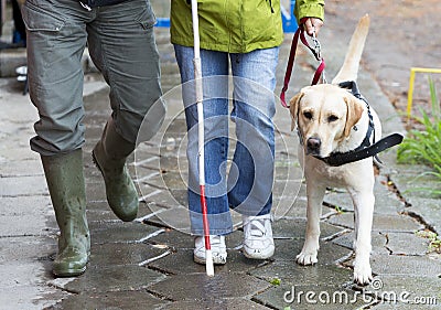 Blind person with her guide dog Stock Photo