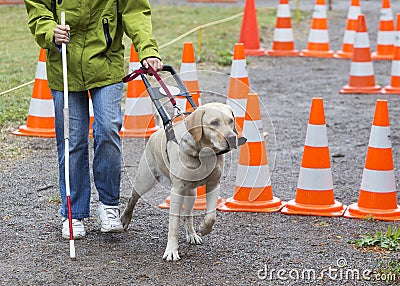 Blind person with her guide dog Stock Photo