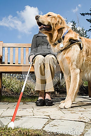 Blind woman and a guide dog Stock Photo