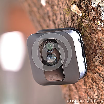 Blink XT Outdoor security camera on a trunk of a tree Editorial Stock Photo
