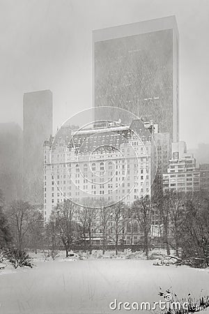 Blizzard hits NYC - Winter storm in Central Park Stock Photo