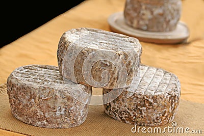 Block of goat cheese. Stock Photo