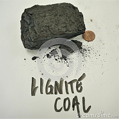 Lignite coal black rock with penny Stock Photo