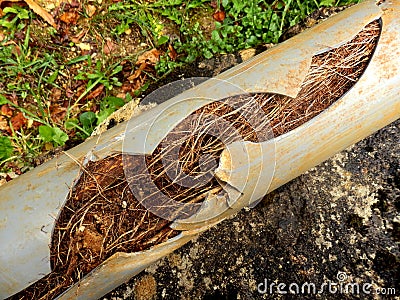 Blocked drainage pipe Stock Photo