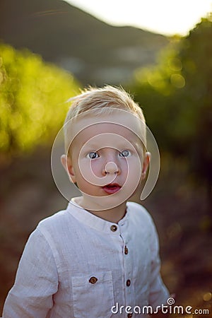 Blond boy child collects it in a basket grapes Stock Photo