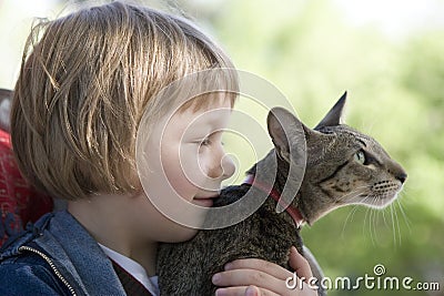 Blond boy with oriental bred cat Stock Photo