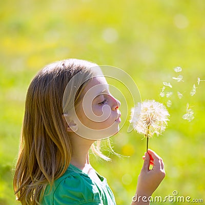 Blond kid girl blowing dandelion flower in green meadow Stock Photo