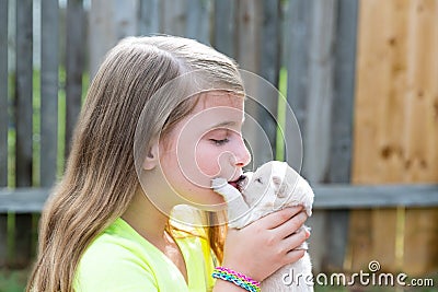 Blond kid girl with puppy pet chihuahua playing Stock Photo